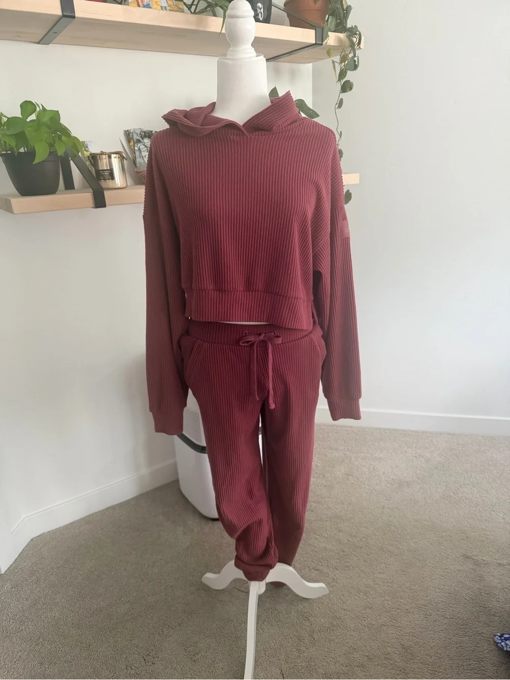 SET!! Alo Yoga Muse Ribbed Hoodie & Pants Set in Mauve